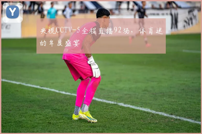 央视CCTV-5全程直播92场，体育迷的年度盛宴